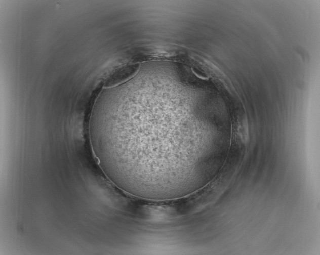 X0000115060512200911091449