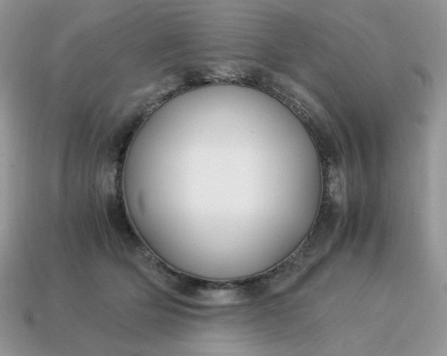 X0000115060514200911091449