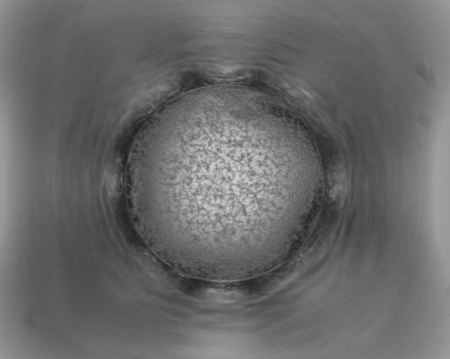 X0000115060515200911091449
