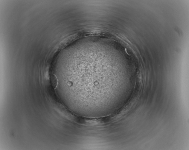 X0000115060516200911091449
