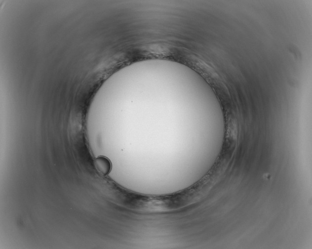 X0000115060518200911091449