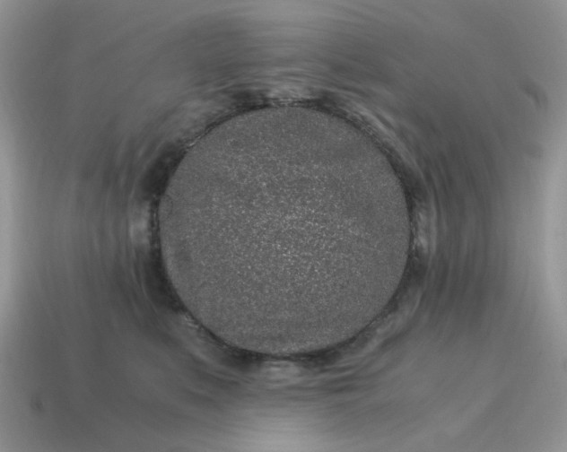 X0000115060519200911091449