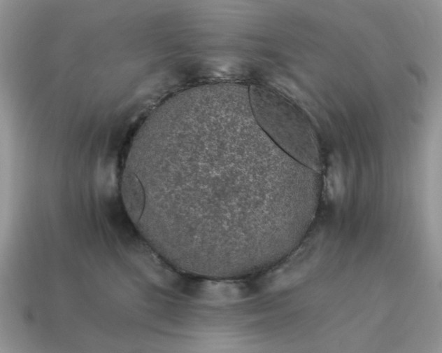 X0000115060520200911091449