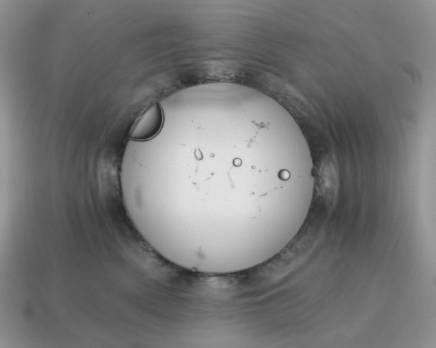 X0000115060522200911091449