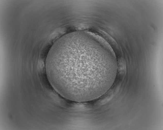 X0000115060523200911091449