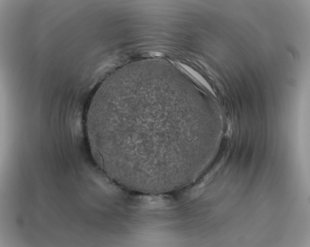X0000115060524200911091449