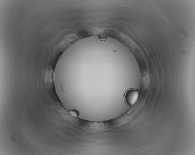 X0000115060525200911091449