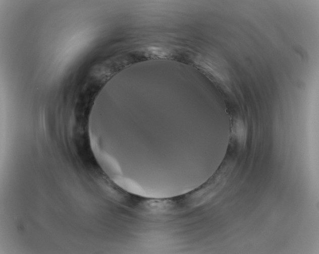X0000115060526200911091449