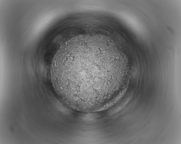 X0000115060527200911091449