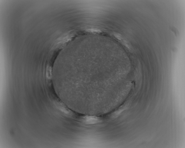 X0000115060528200911091449