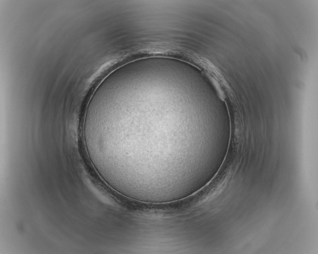 X0000115060530200911091448
