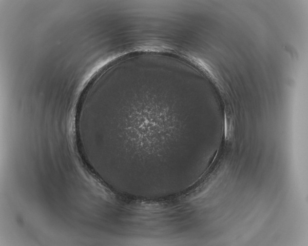 X0000115060531200911091448