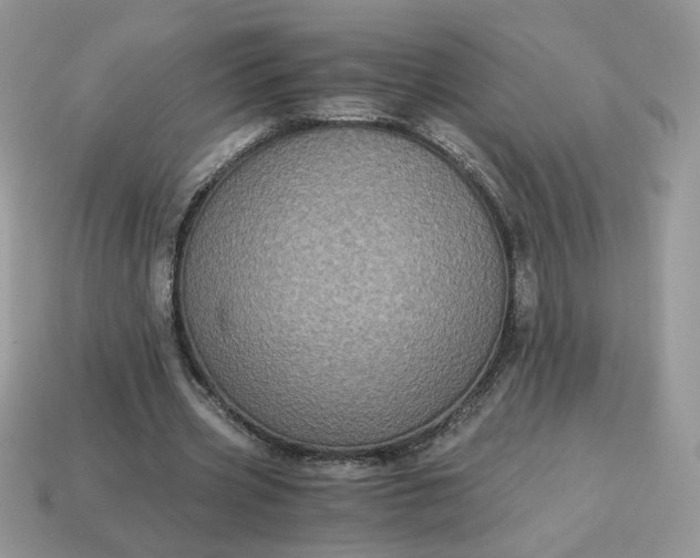 X0000115060533200911091448