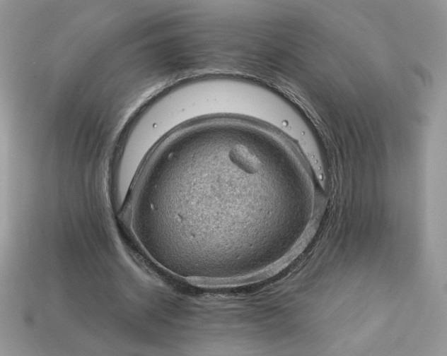 X0000115060534200911091448