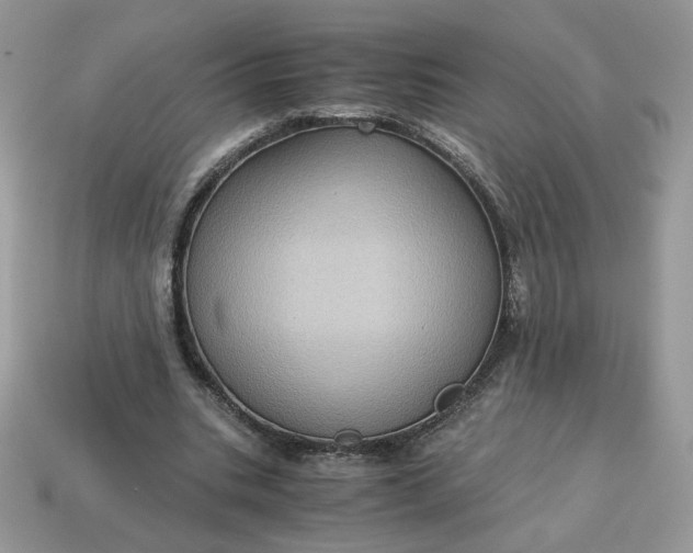X0000115060535200911091448