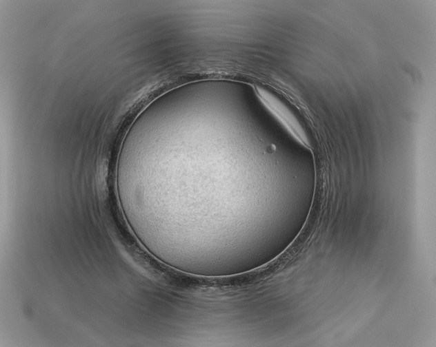 X0000115060538200911091448