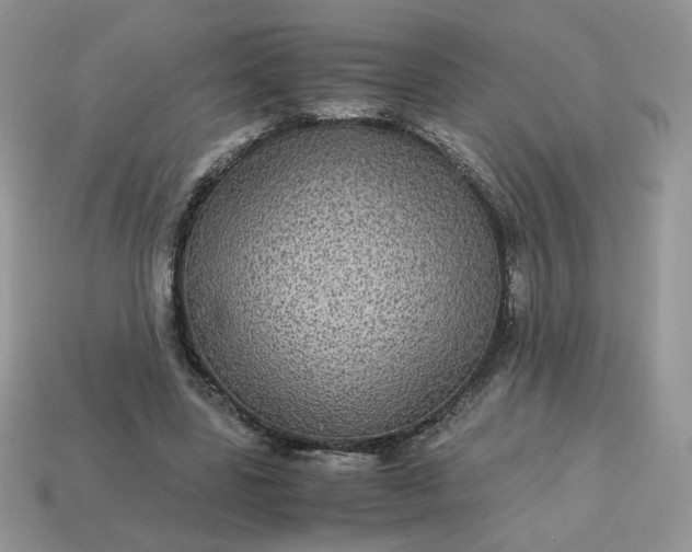 X0000115060539200911091448