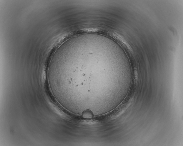 X0000115060541200911091448
