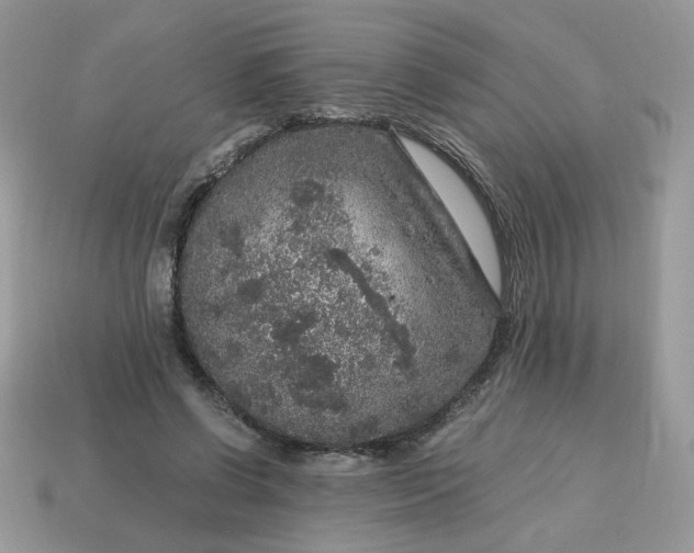 X0000115060542200911091448