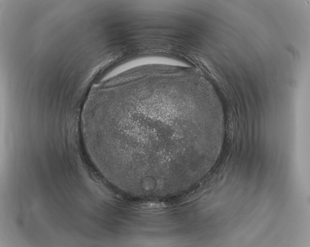 X0000115060543200911091448