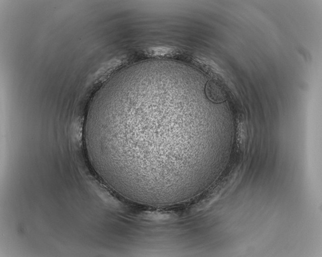 X0000115060545200911091448