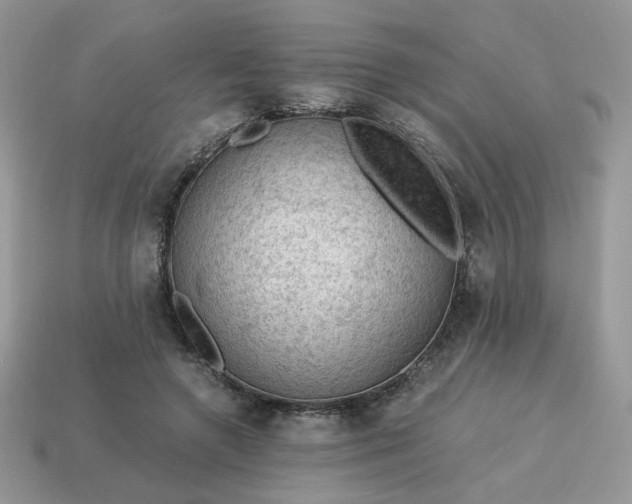 X0000115060546200911091448