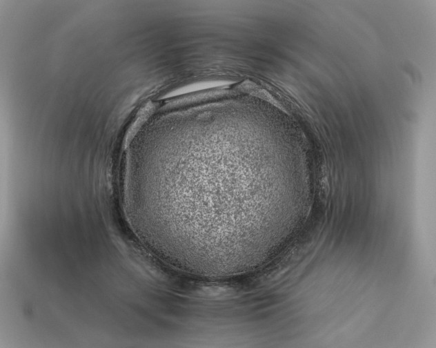 X0000115060547200911091448