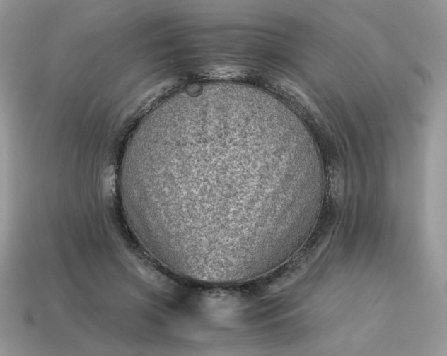 X0000115060549200911091448
