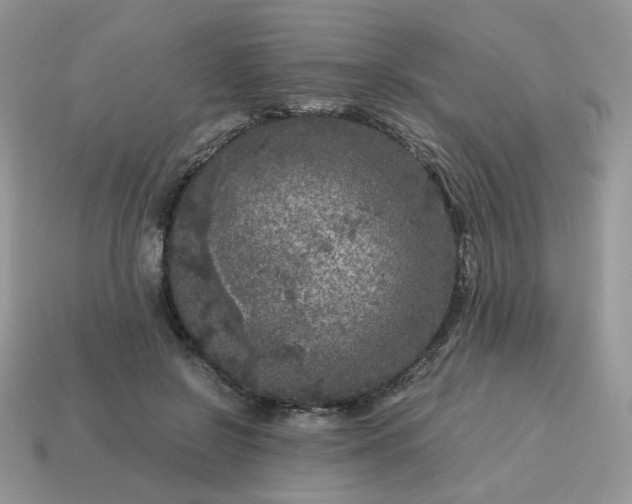 X0000115060550200911091449