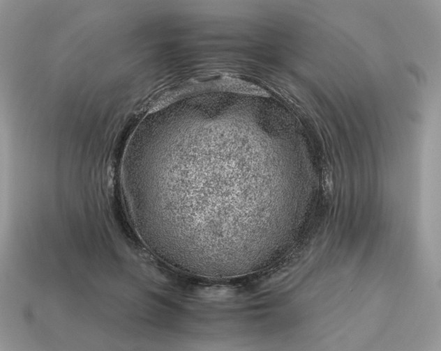 X0000115060551200911091449