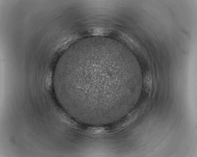 X0000115060554200911091449
