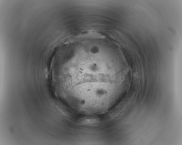 X0000115060555200911091449