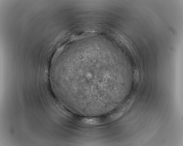 X0000115060557200911091449
