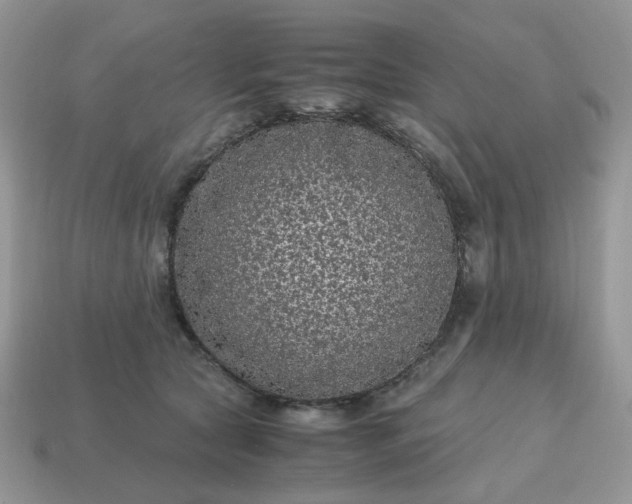 X0000115060561200911091449