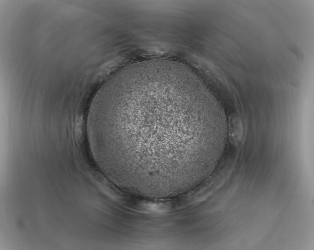 X0000115060563200911091449
