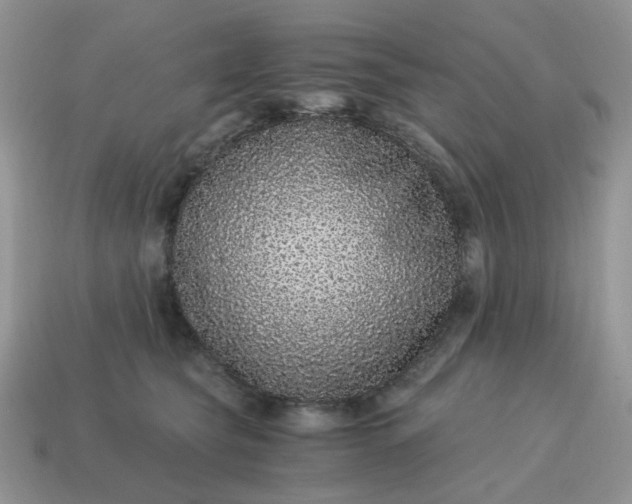 X0000115060565200911091449
