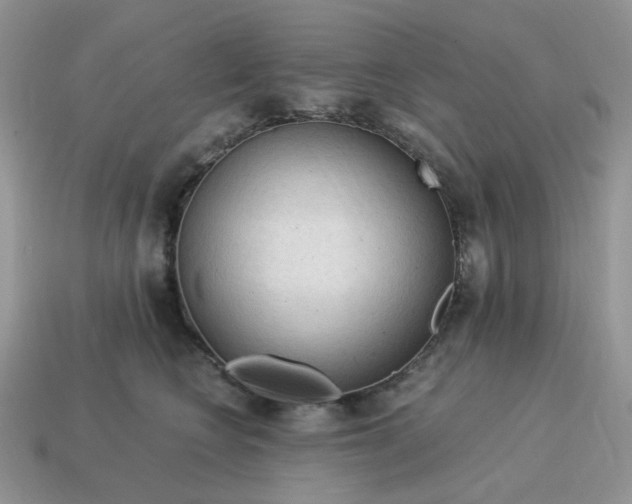 X0000115060566200911091449