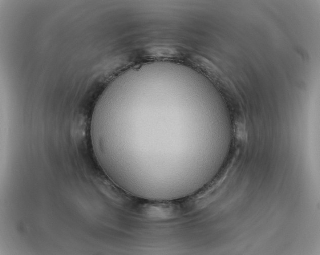 X0000115060567200911091449