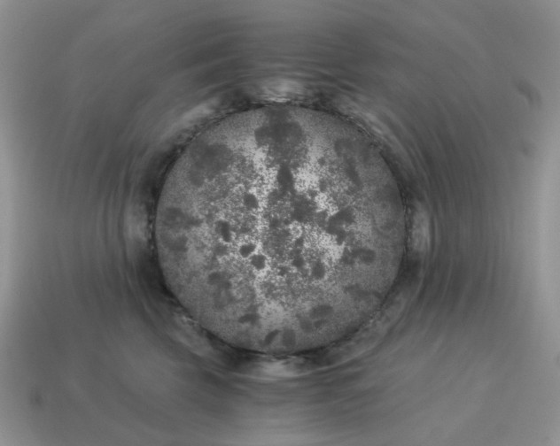 X0000115060569200911091449