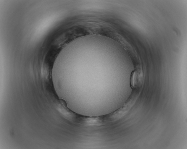 X0000115060574200911091449