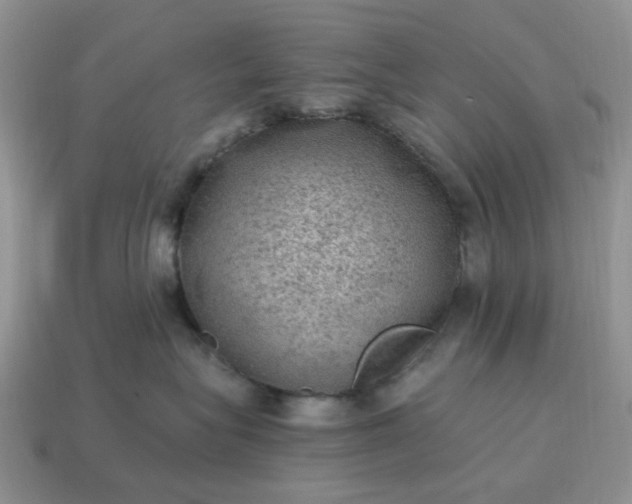 X0000115060575200911091449