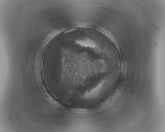 X0000115060577200911091448