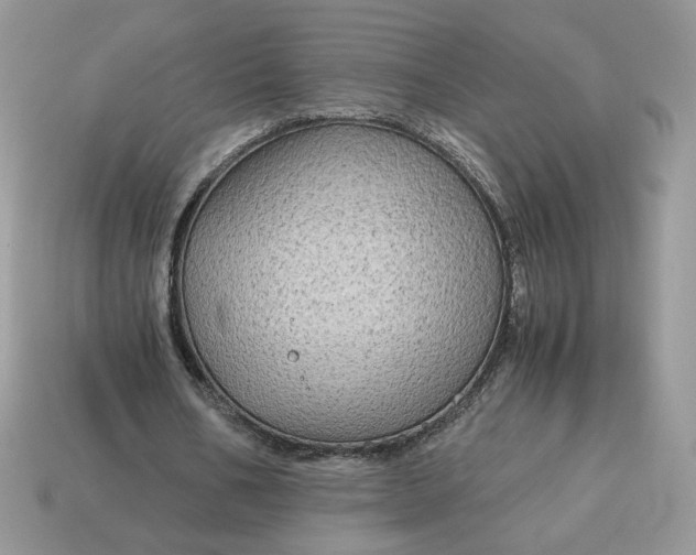 X0000115060578200911091448