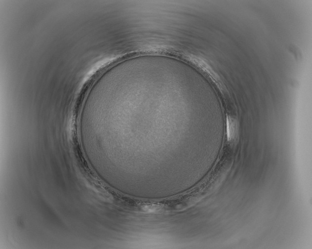 X0000115060579200911091448