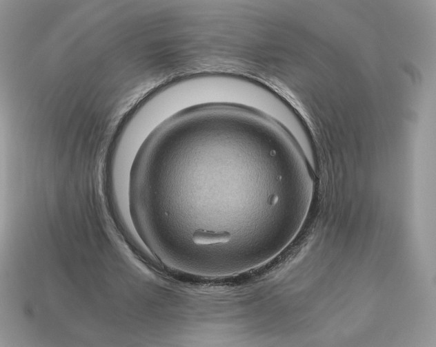 X0000115060581200911091448