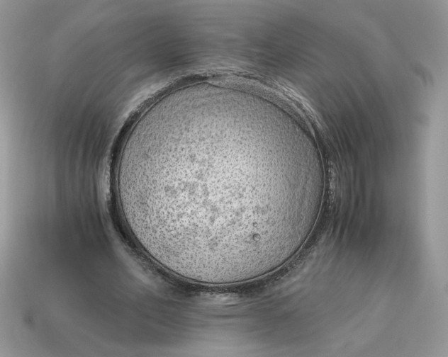 X0000115060582200911091448
