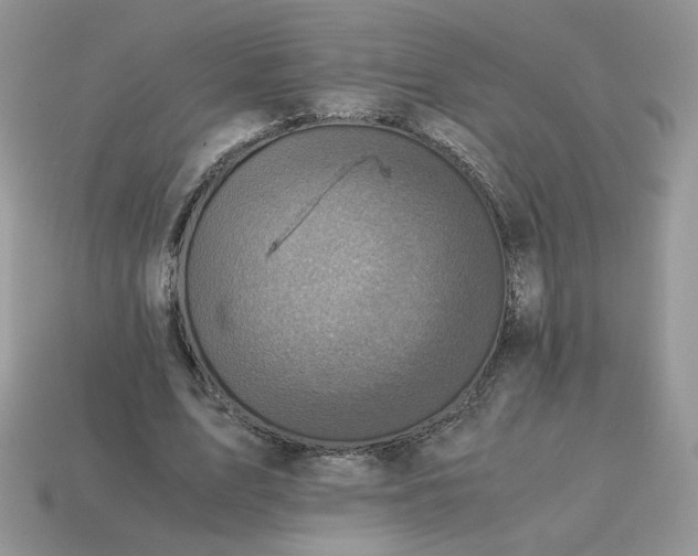 X0000115060583200911091448