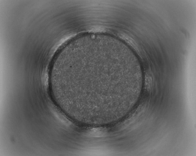 X0000115060584200911091448