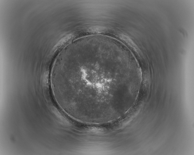 X0000115060585200911091448