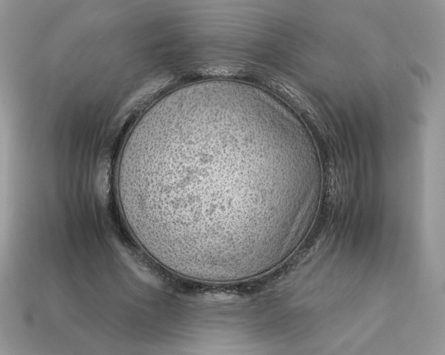 X0000115060586200911091448
